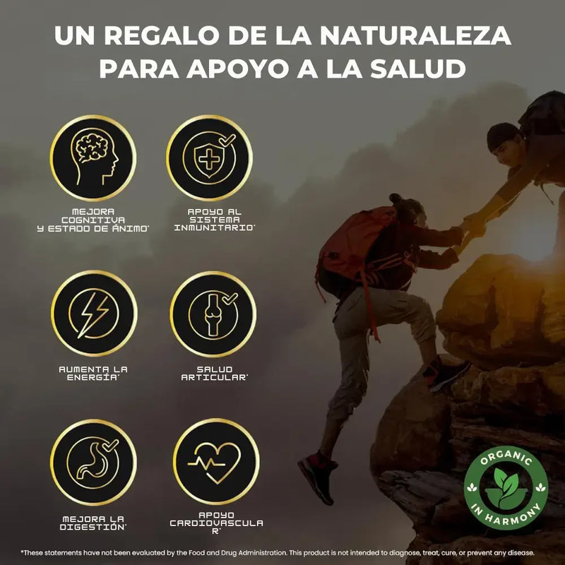 Gomitas Shilajit 🤎 PREMIUM 👑 2X1